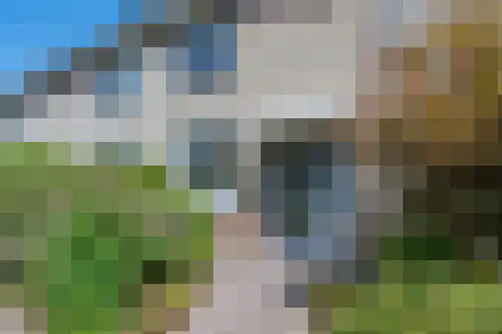 Ruitercamp 28 Houten thumbnail 4