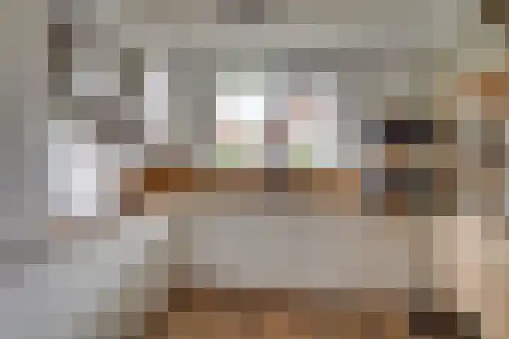 Ruitercamp 3 Houten thumbnail 10