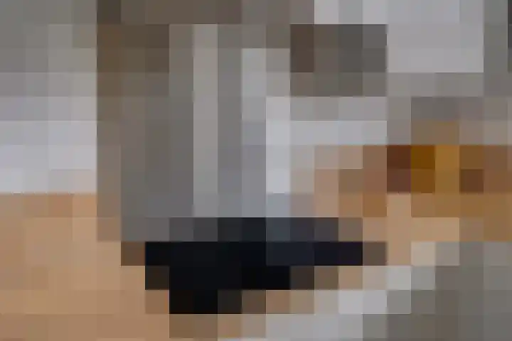 Ruitercamp 3 Houten thumbnail 12