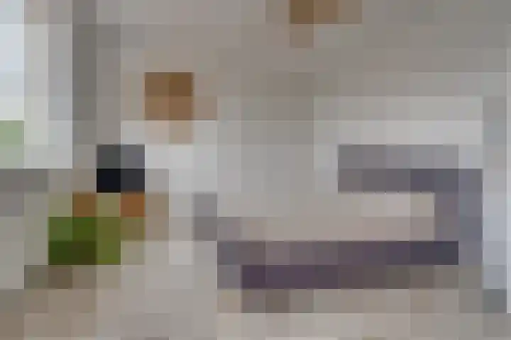 Ruitercamp 3 Houten thumbnail 15