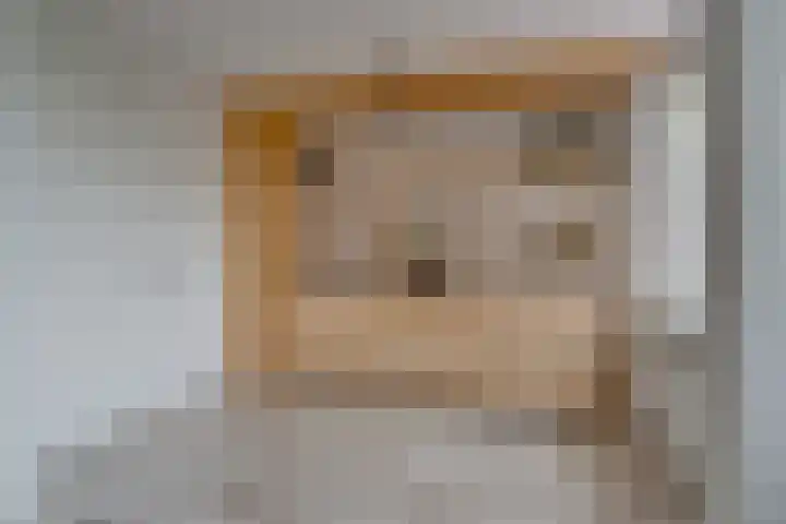 Ruitercamp 3 Houten thumbnail 16