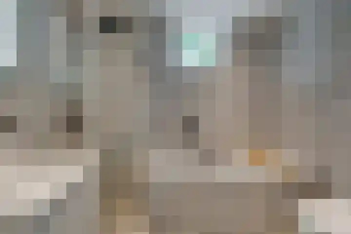 Ruitercamp 3 Houten thumbnail 19