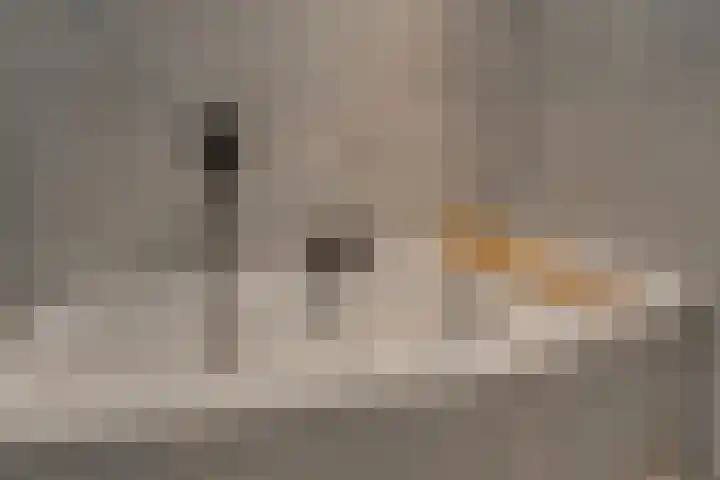 Ruitercamp 3 Houten thumbnail 20