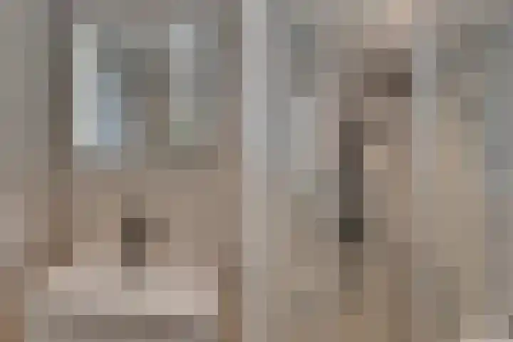 Ruitercamp 3 Houten thumbnail 21