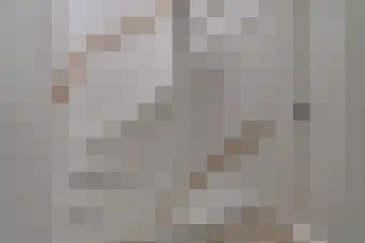 Ruitercamp 3 Houten thumbnail 22