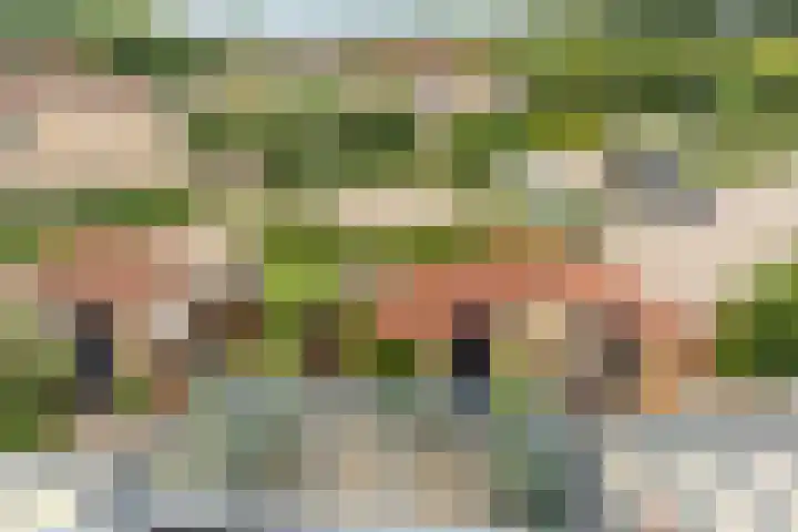 Ruitercamp 3 Houten thumbnail 27