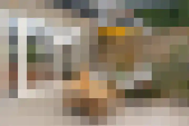 Ruitercamp 3 Houten thumbnail 28