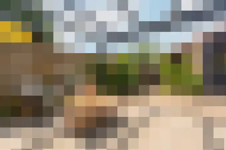 Ruitercamp 3 Houten thumbnail 29