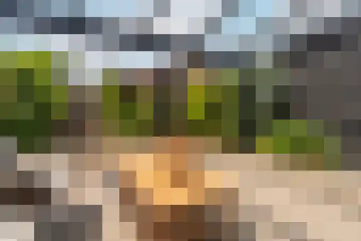 Ruitercamp 3 Houten thumbnail 30