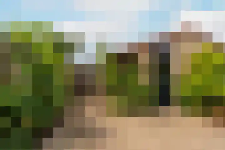 Ruitercamp 3 Houten thumbnail 31