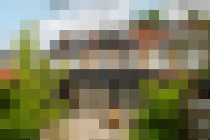 Ruitercamp 3 Houten thumbnail 32