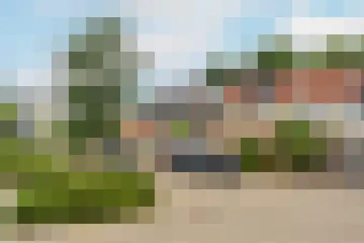 Ruitercamp 3 Houten thumbnail 33