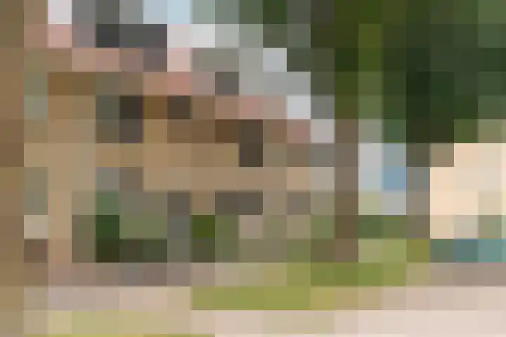 Ruitercamp 3 Houten thumbnail 34