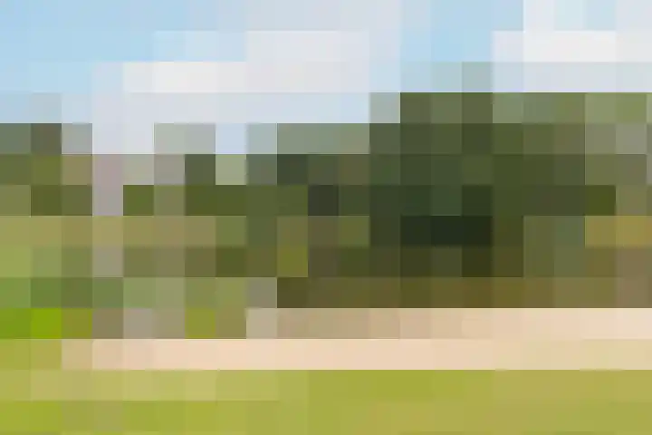 Ruitercamp 3 Houten thumbnail 37