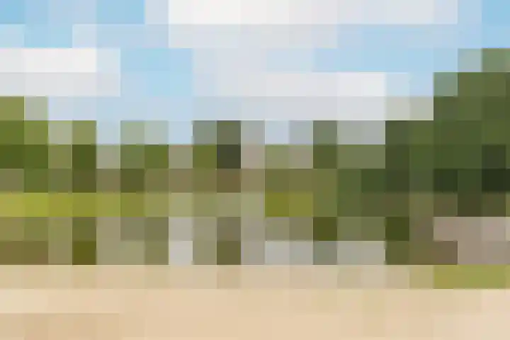 Ruitercamp 3 Houten thumbnail 38