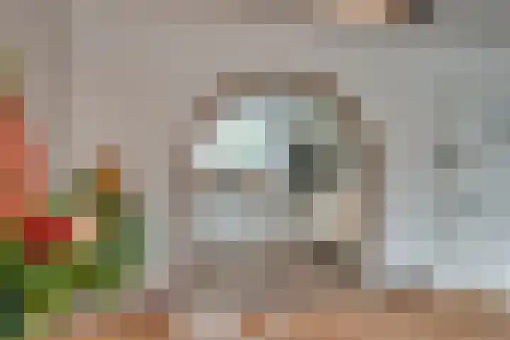 Ruitercamp 3 Houten thumbnail 9