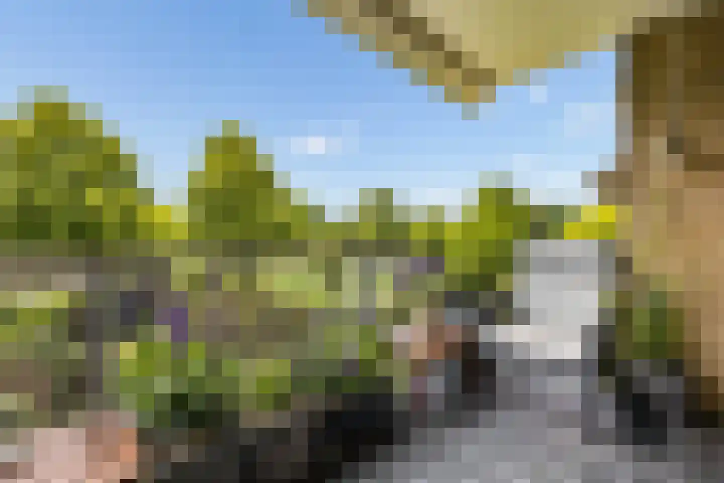 Ruitercamp 69 Houten thumbnail 39