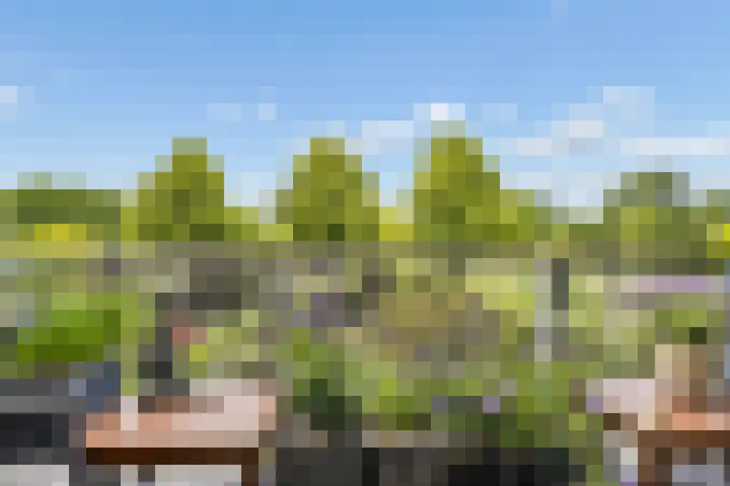 Ruitercamp 69 Houten thumbnail 41