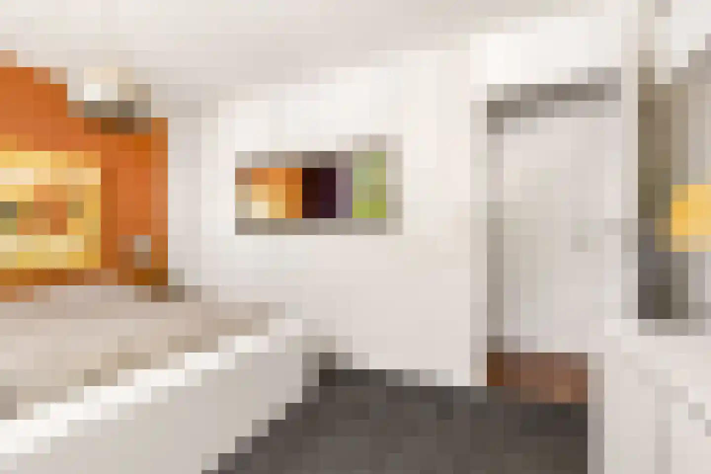 Ruitercamp 69 Houten thumbnail 44