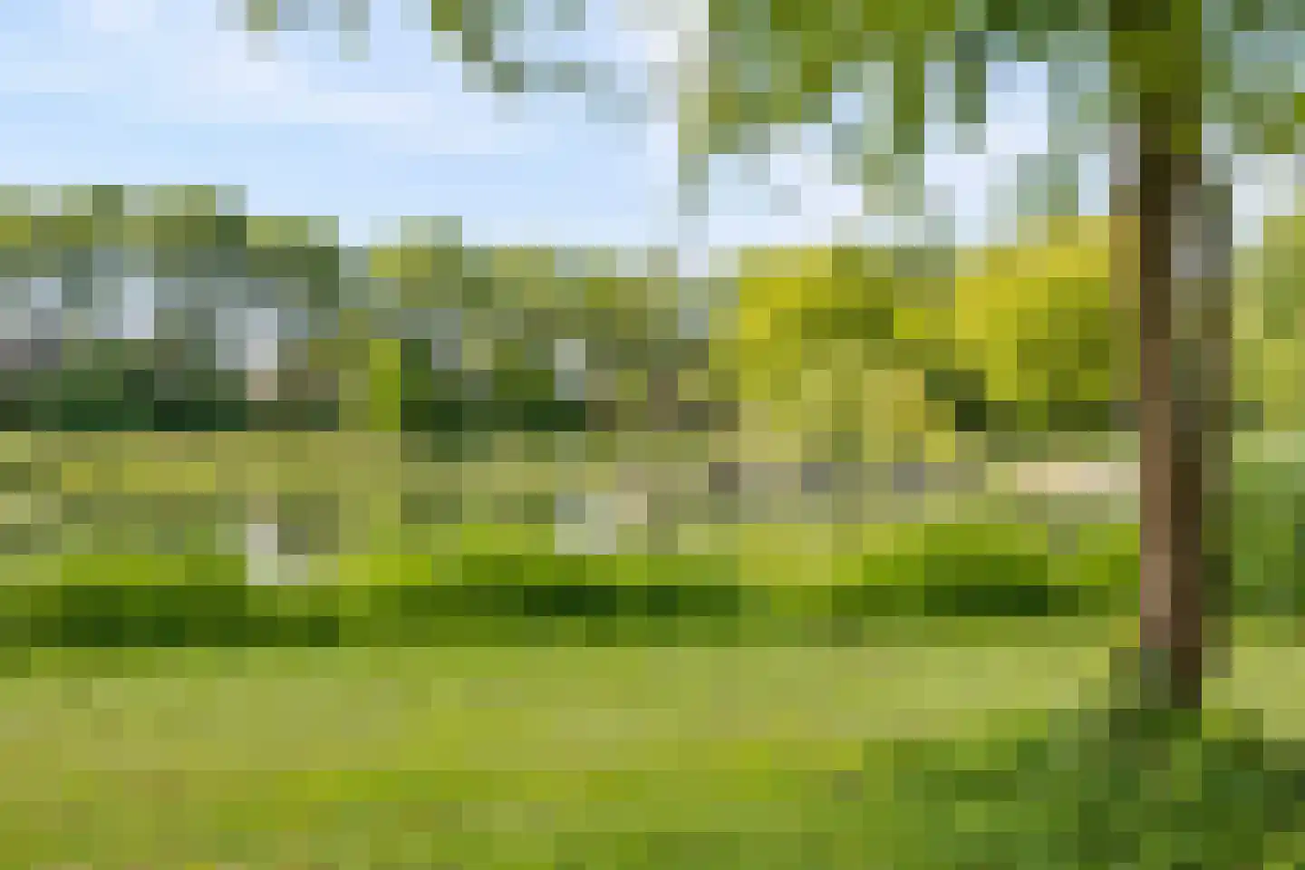 Ruitercamp 69 Houten thumbnail 54