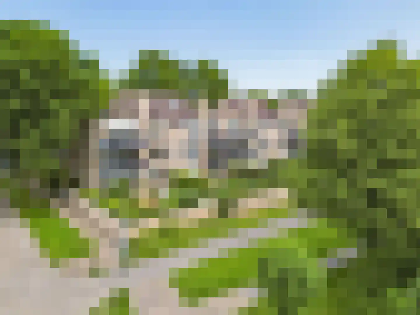Ruitercamp 69 Houten thumbnail 55