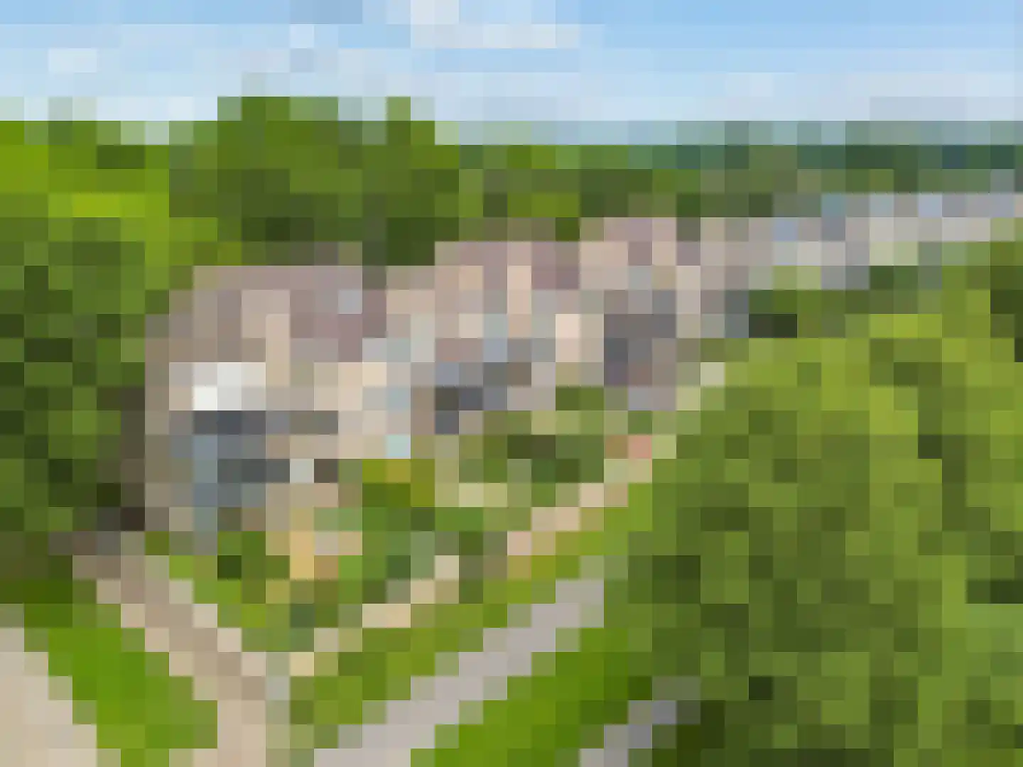Ruitercamp 69 Houten thumbnail 56