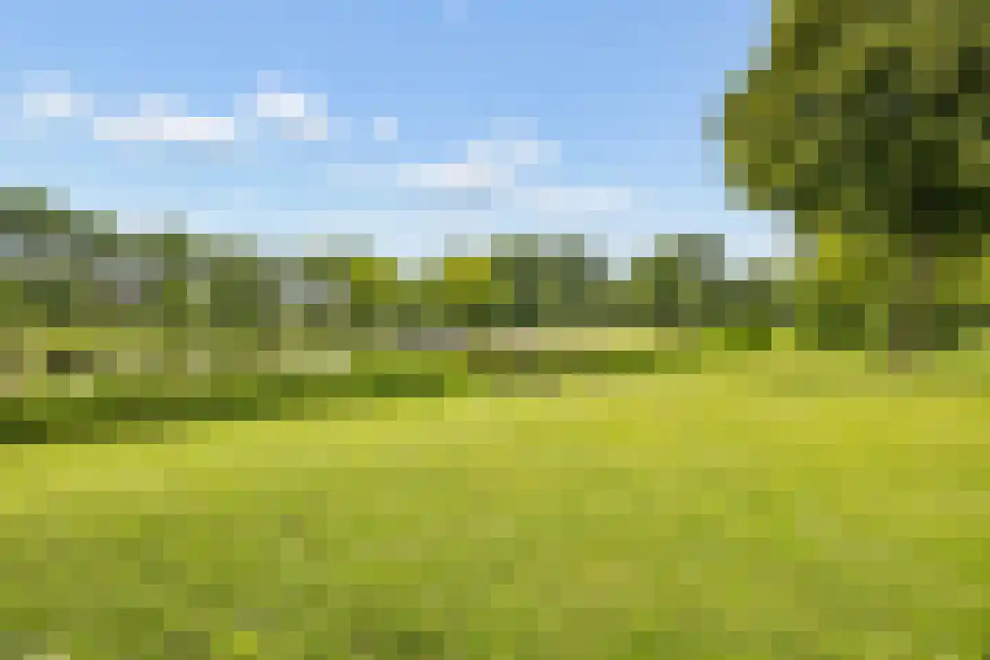 Ruitercamp 69 Houten thumbnail 66