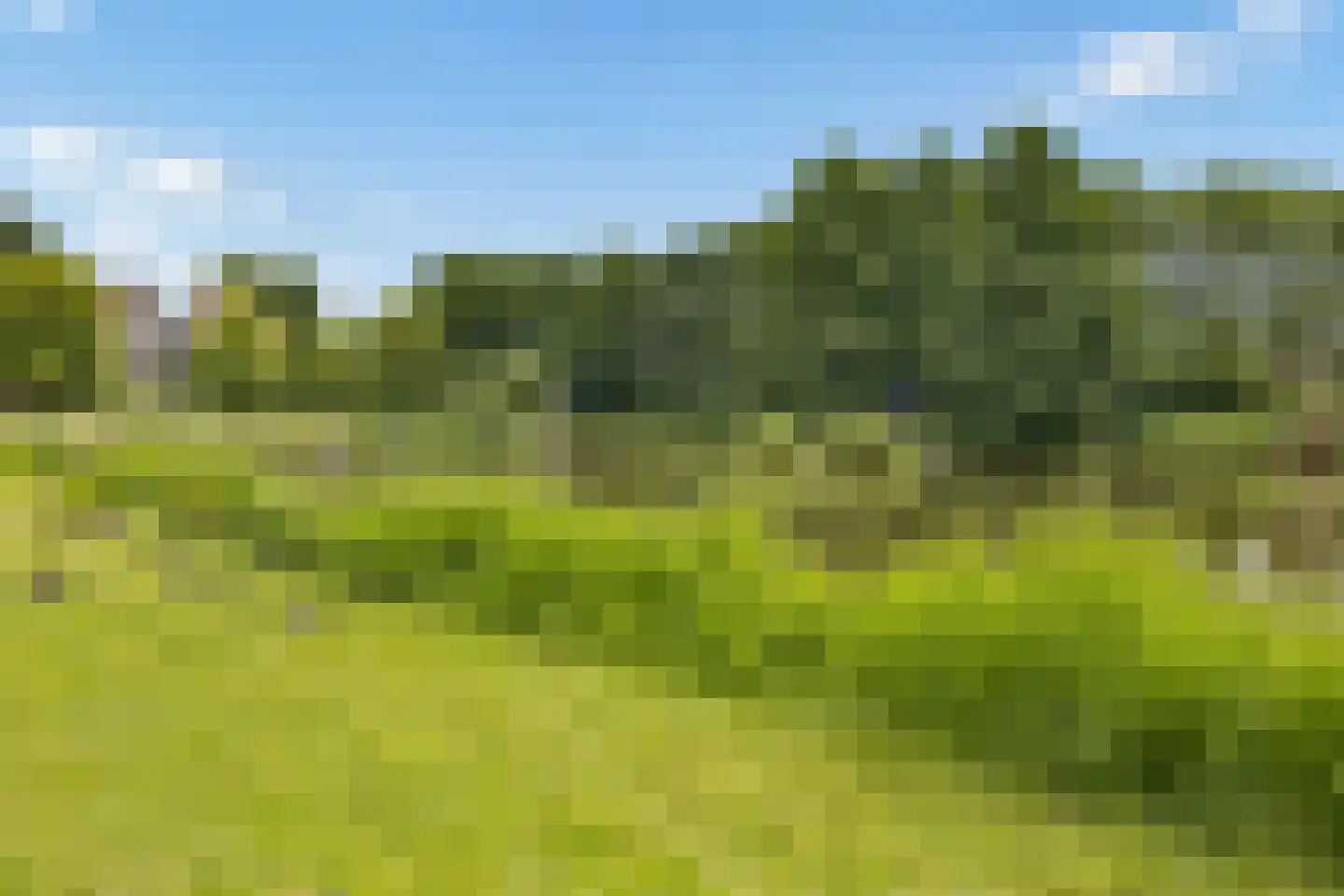 Ruitercamp 69 Houten thumbnail 68