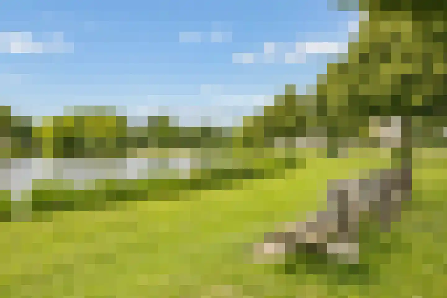 Ruitercamp 69 Houten thumbnail 70