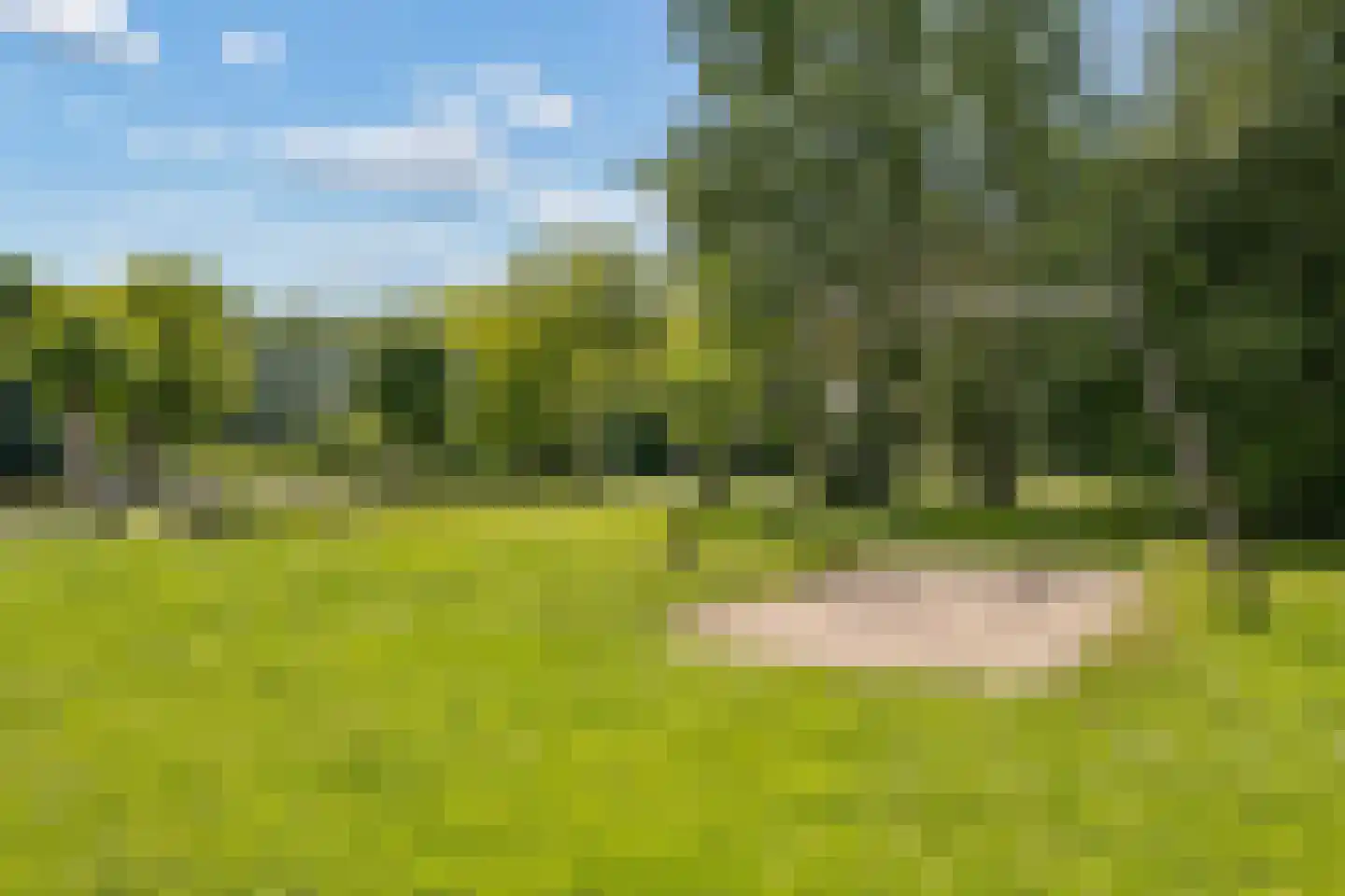 Ruitercamp 69 Houten thumbnail 72