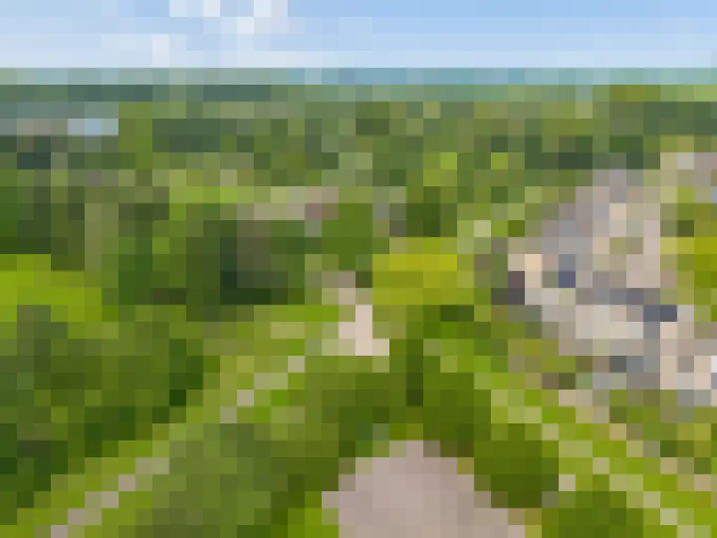 Ruitercamp 69 Houten thumbnail 77