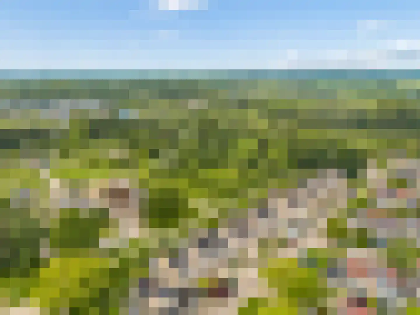 Ruitercamp 69 Houten thumbnail 83