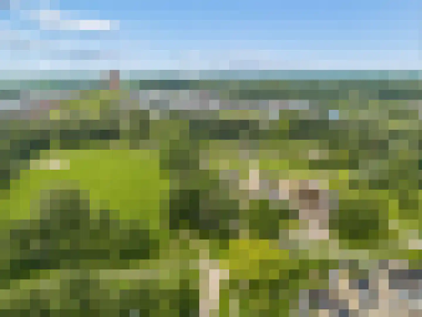 Ruitercamp 69 Houten thumbnail 84
