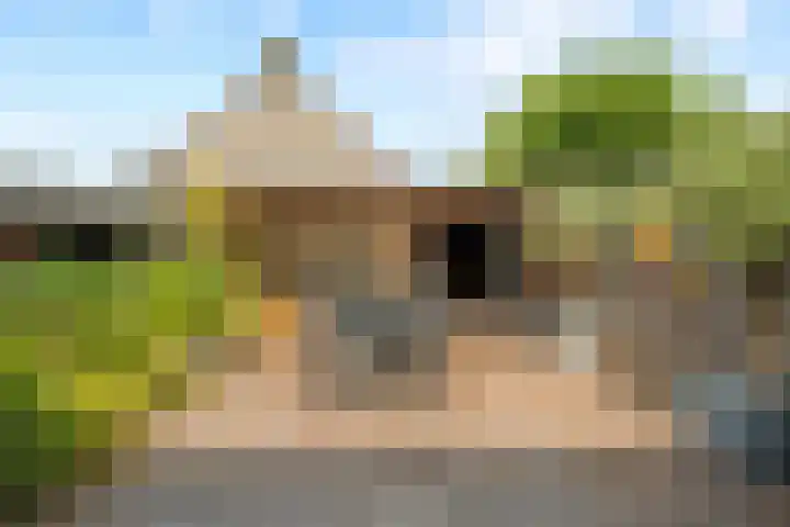 Ruitercamp 92 Houten thumbnail 15