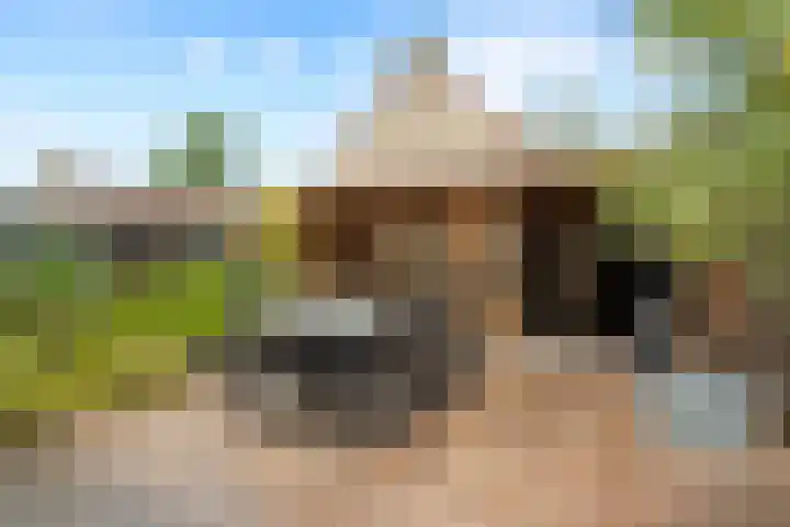 Ruitercamp 92 Houten thumbnail 16
