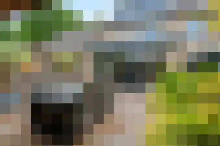 Ruitercamp 92 Houten thumbnail 19