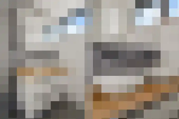 Ruitercamp 92 Houten thumbnail 28