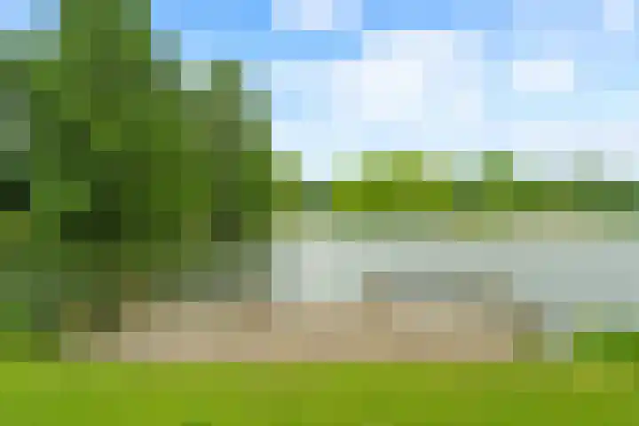 Ruitercamp 92 Houten thumbnail 43
