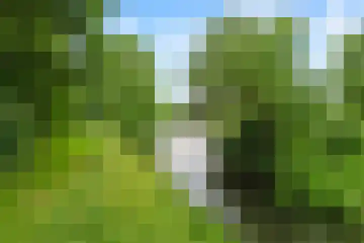 Ruitercamp 92 Houten thumbnail 44