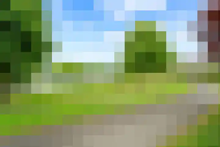 Ruitercamp 92 Houten thumbnail 46