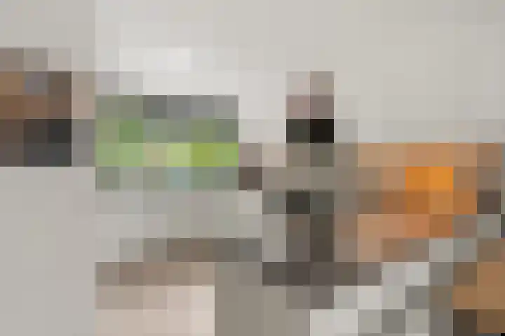 Ruitercamp 92 Houten thumbnail 9