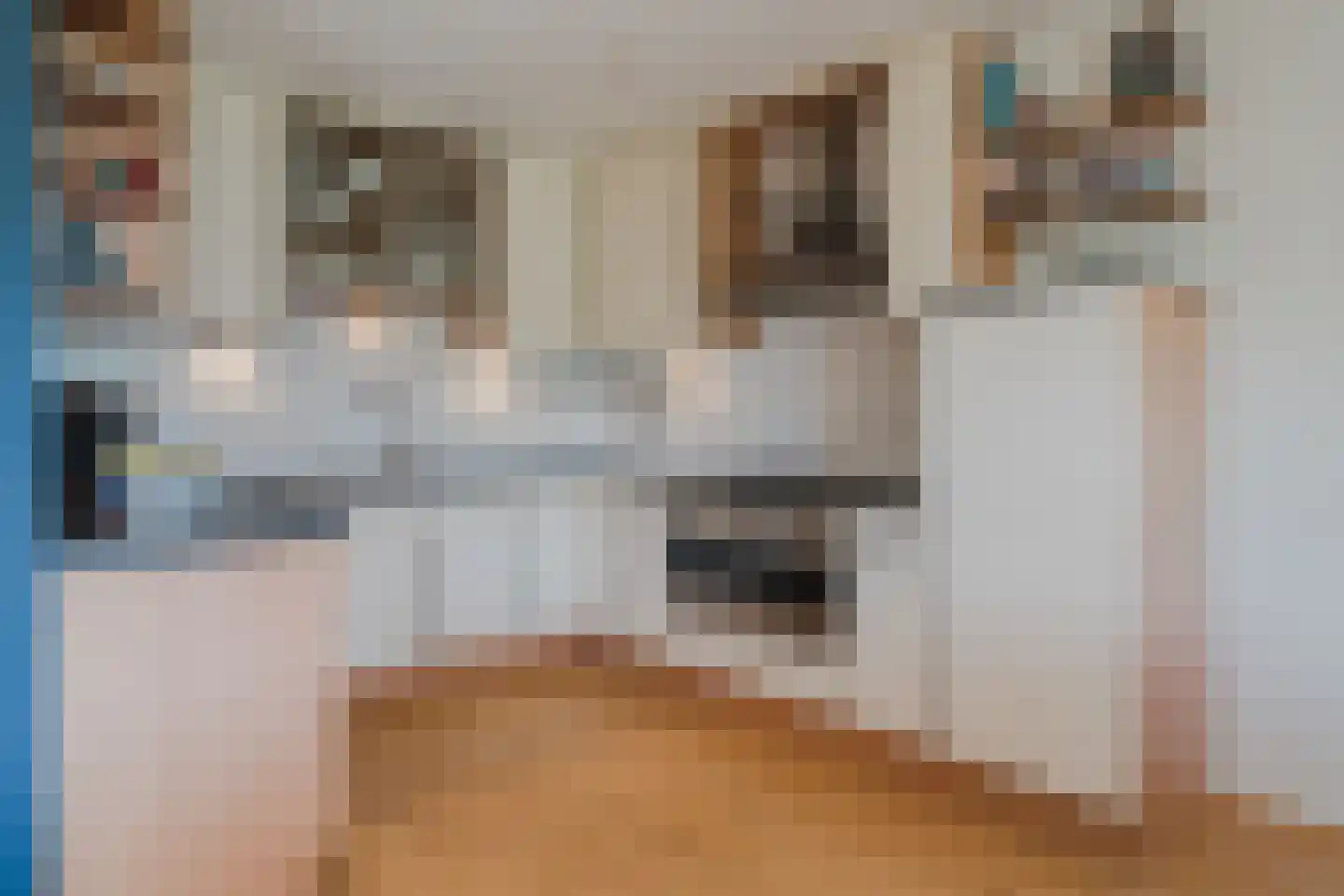 Ruitercamp 93 Houten thumbnail 19