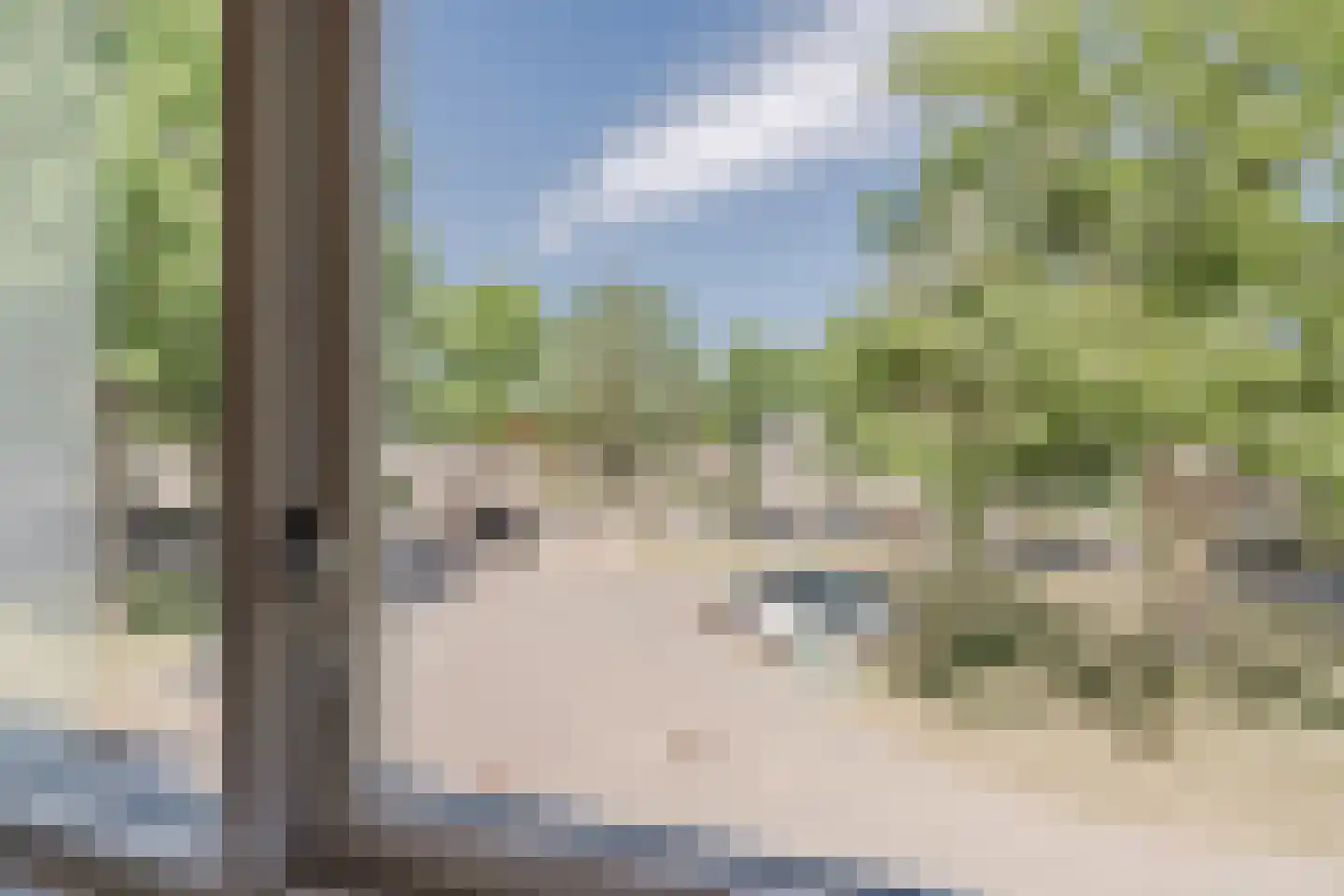 Ruitercamp 93 Houten thumbnail 30