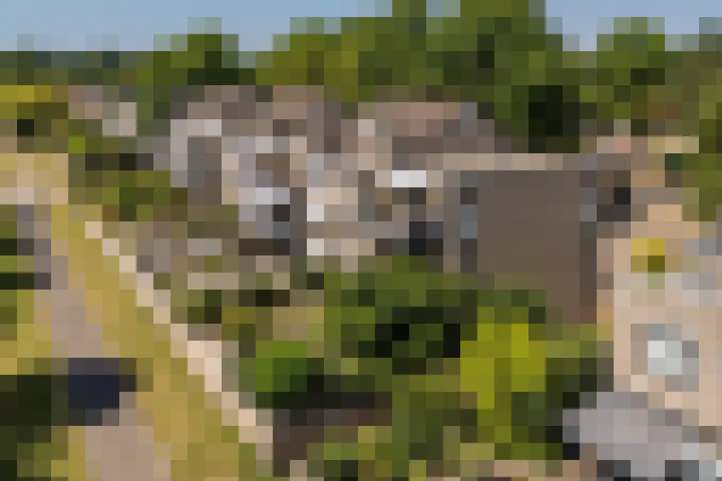 Ruitercamp 93 Houten thumbnail 35