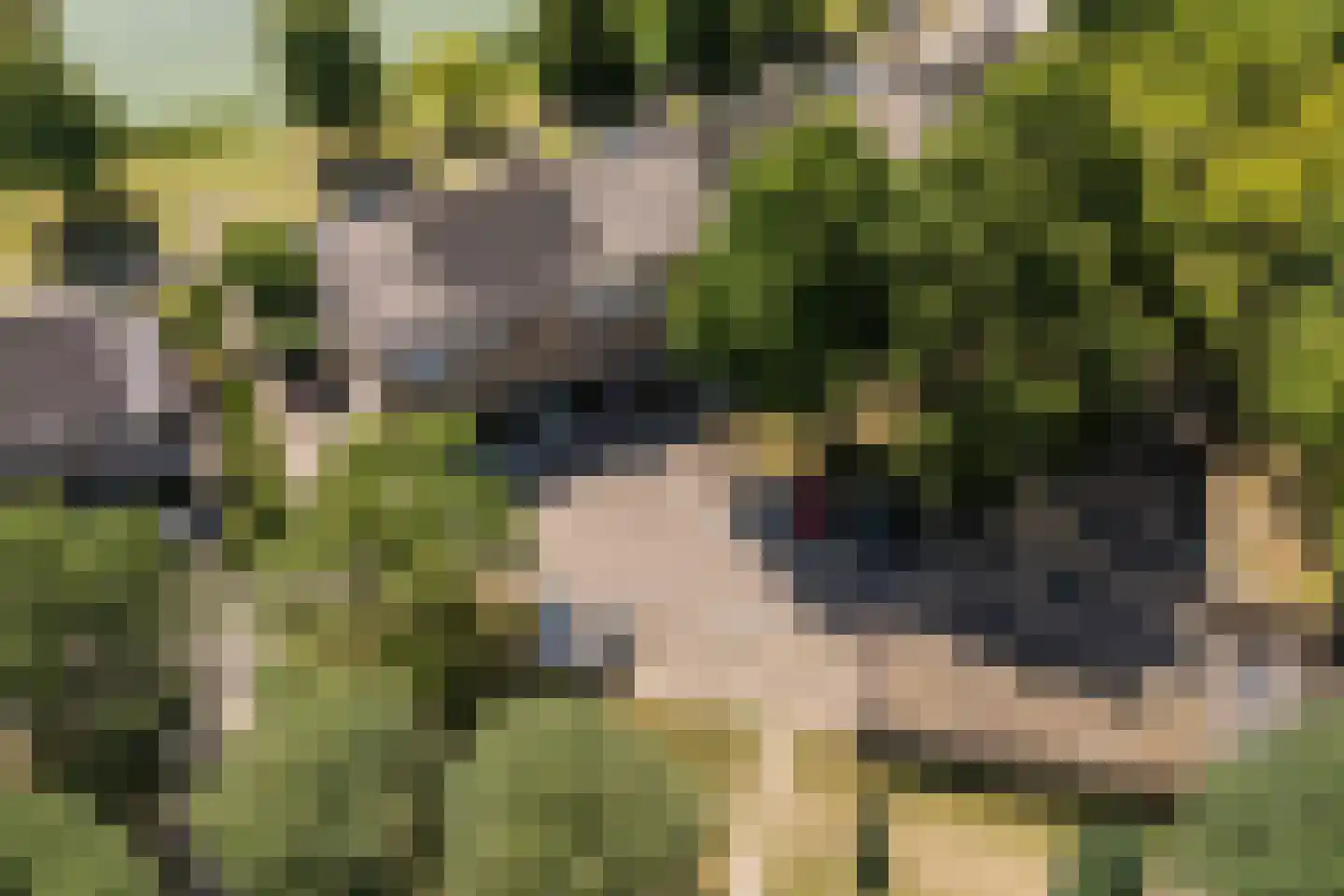 Ruitercamp 93 Houten thumbnail 36