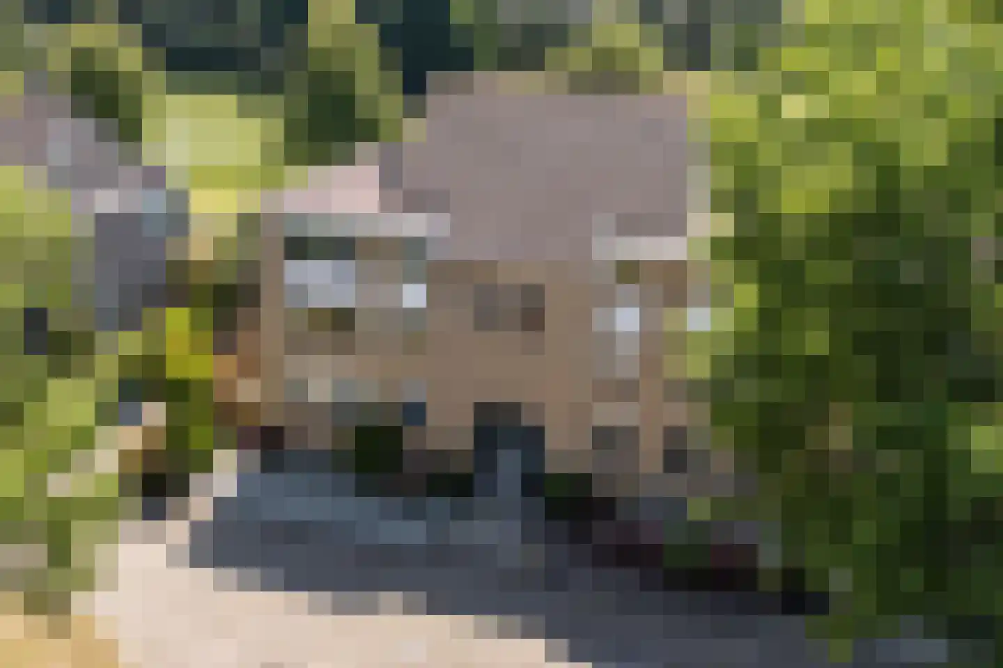 Ruitercamp 93 Houten thumbnail 38