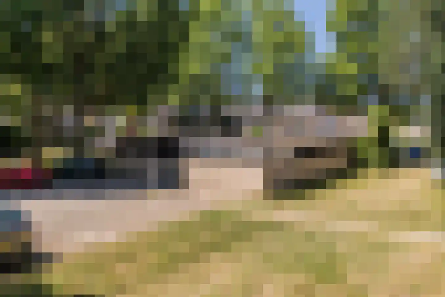 Ruitercamp 93 Houten thumbnail 40