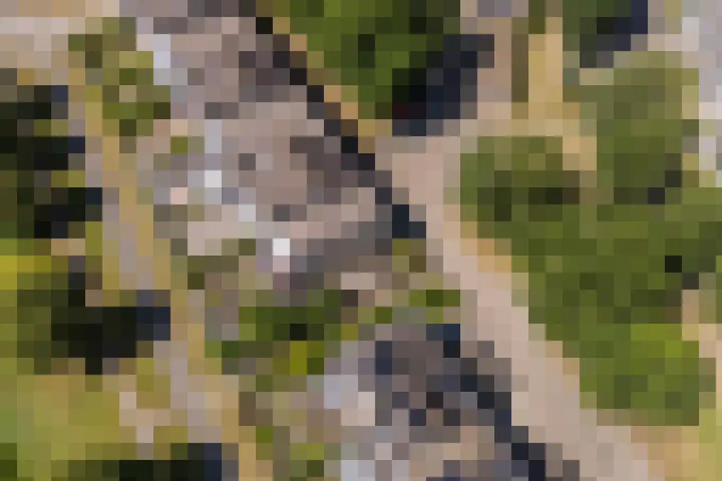 Ruitercamp 93 Houten thumbnail 41