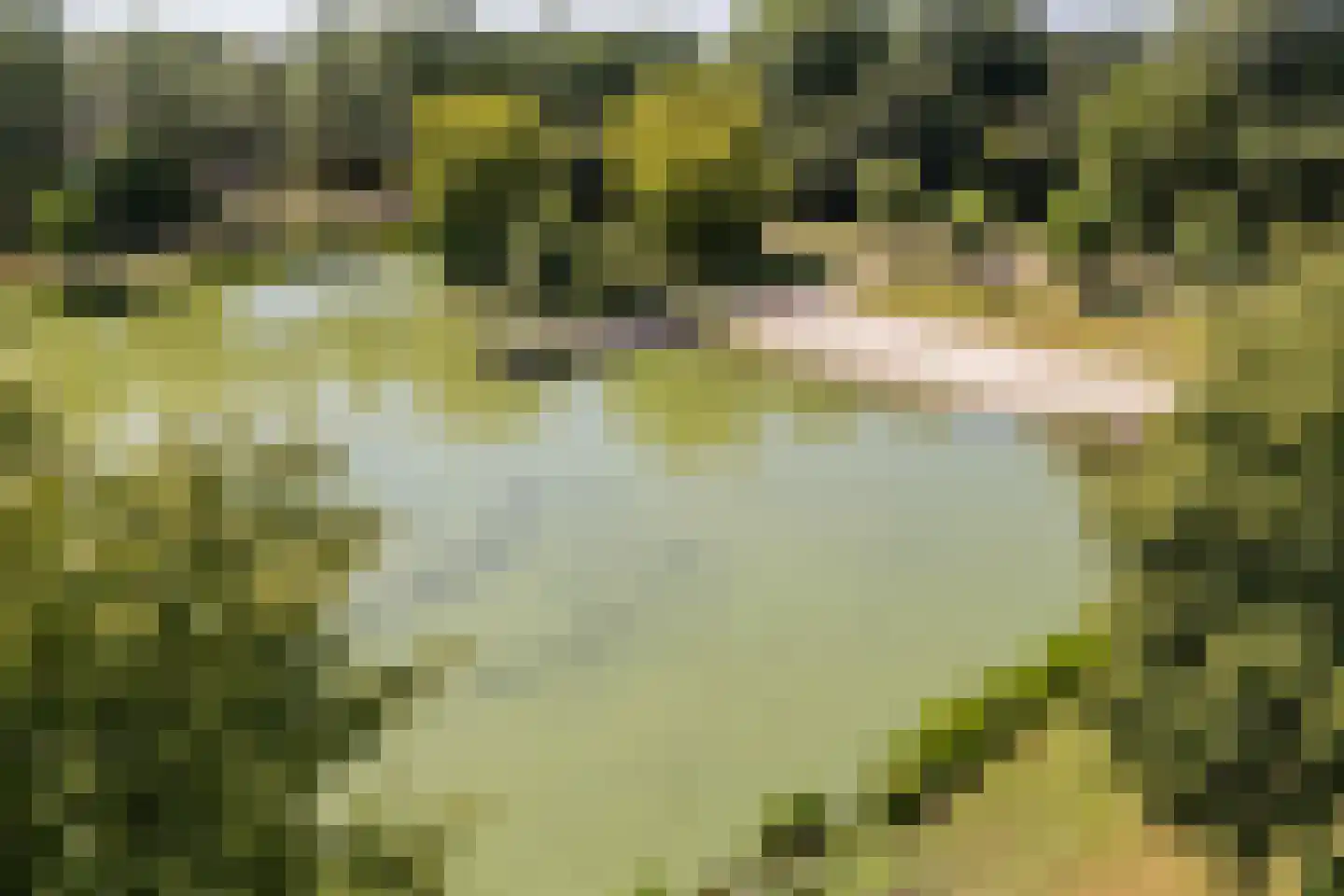 Ruitercamp 93 Houten thumbnail 42