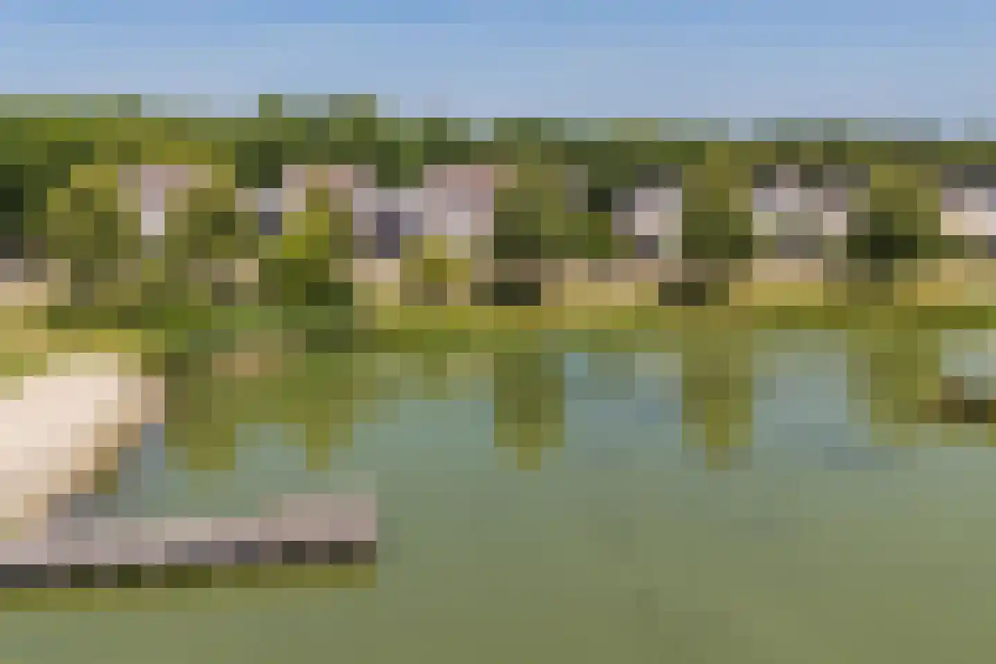 Ruitercamp 93 Houten thumbnail 43